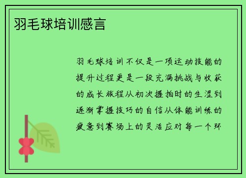 羽毛球培训感言